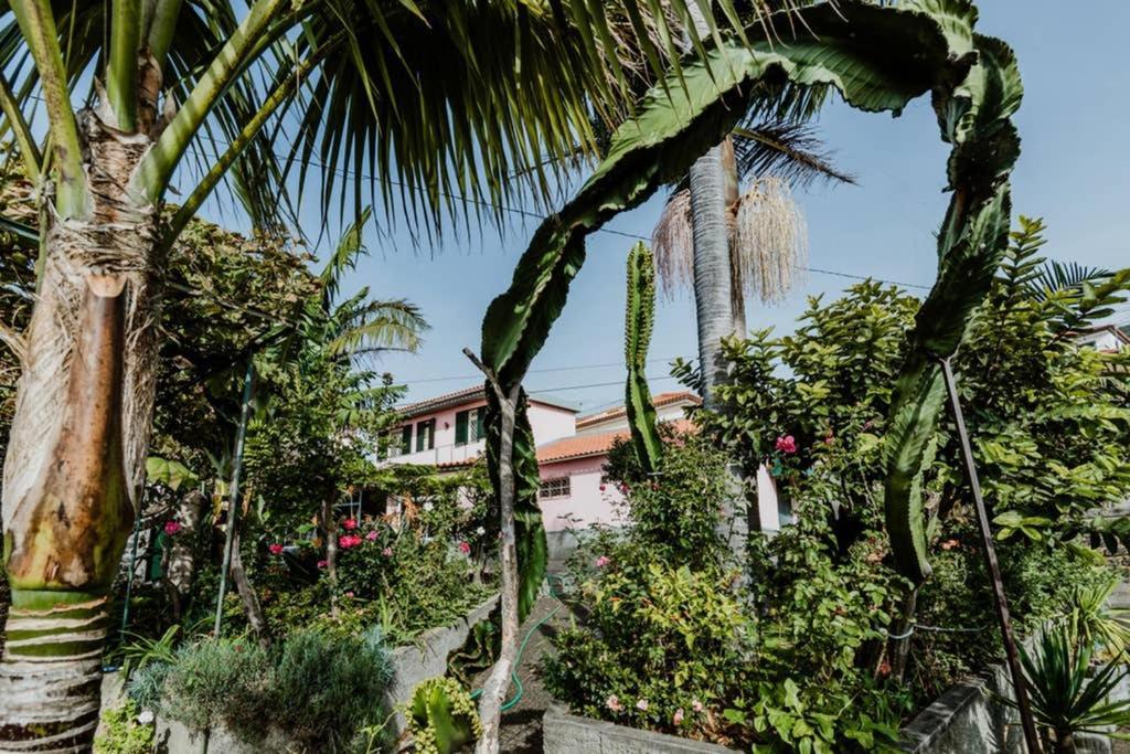City View Gardens Funchal  Kültér fotó