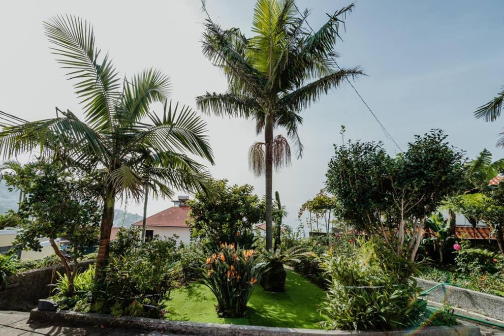 City View Gardens Funchal  Kültér fotó