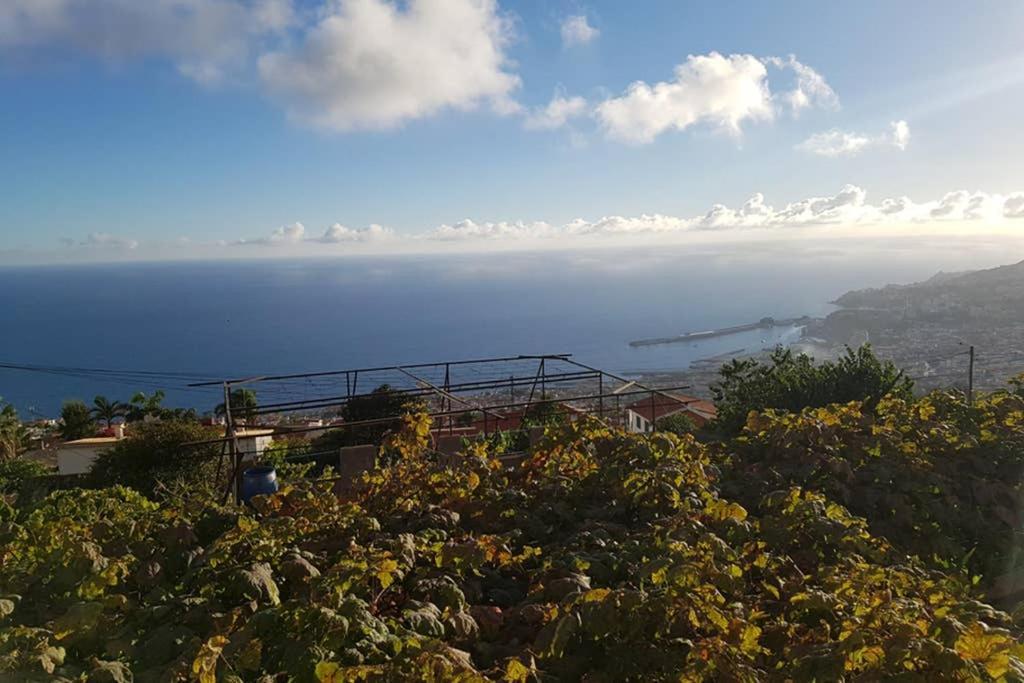 City View Gardens Funchal  Kültér fotó