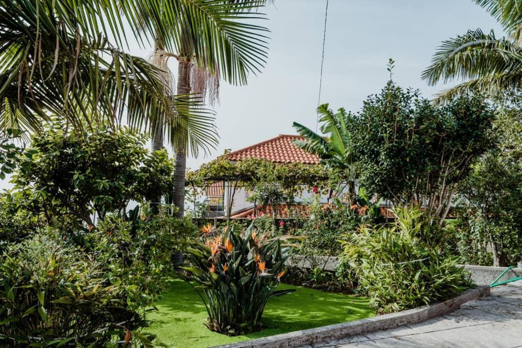 City View Gardens Funchal  Kültér fotó
