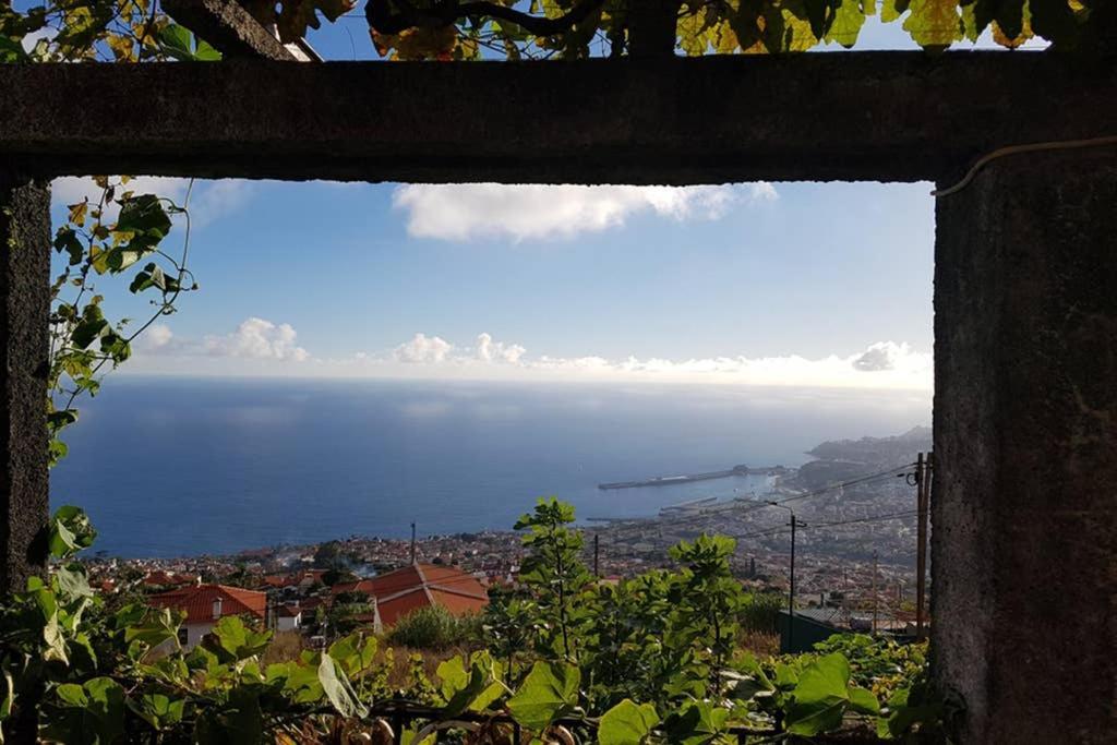 City View Gardens Funchal  Kültér fotó